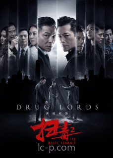 扫毒2天地对决(普通话版)