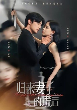 归来妻子的谎言