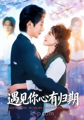 遇见你心有归期